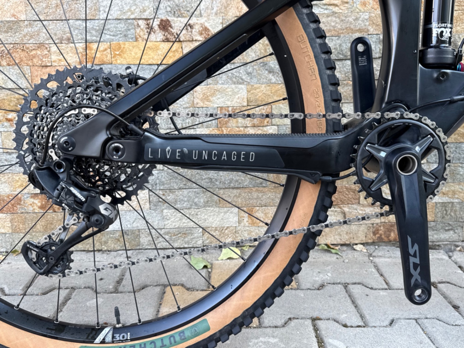 Bike view 5