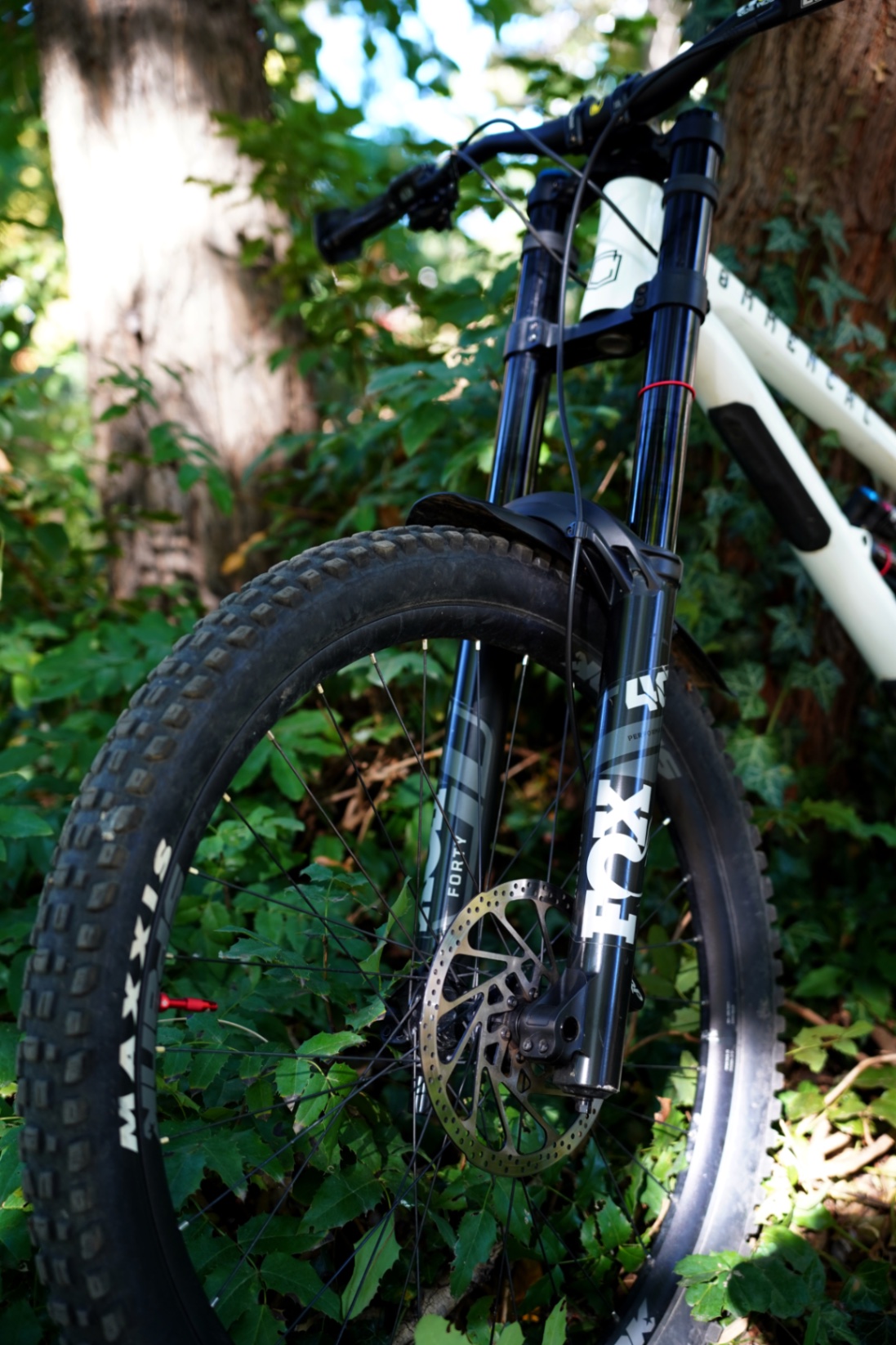 Bike view 8