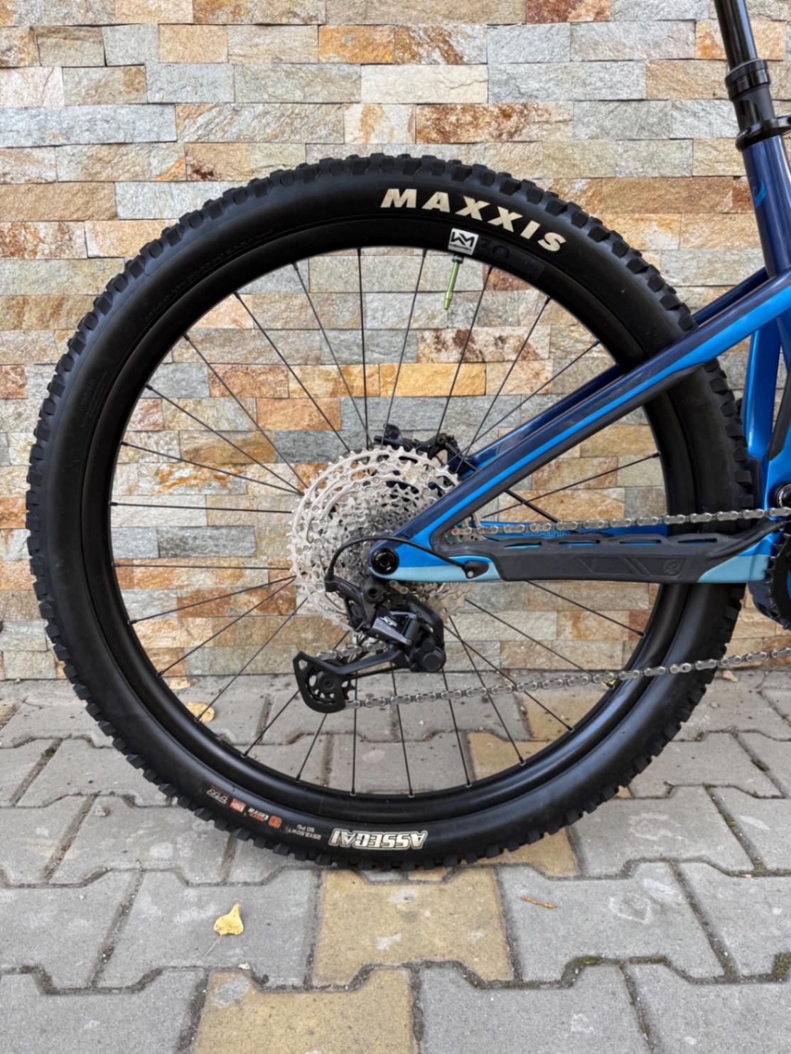 Bike view 7