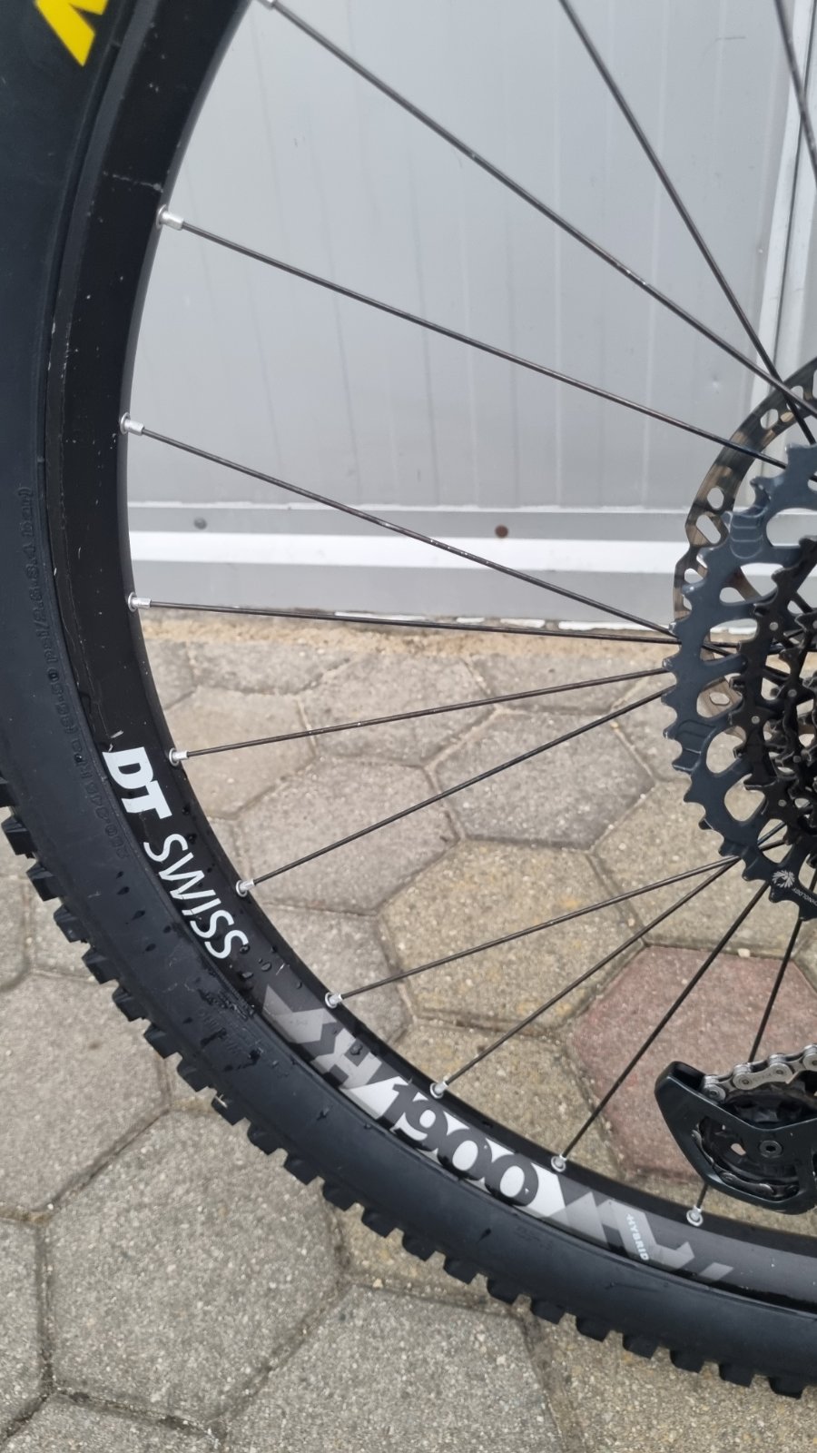 Bike view 11