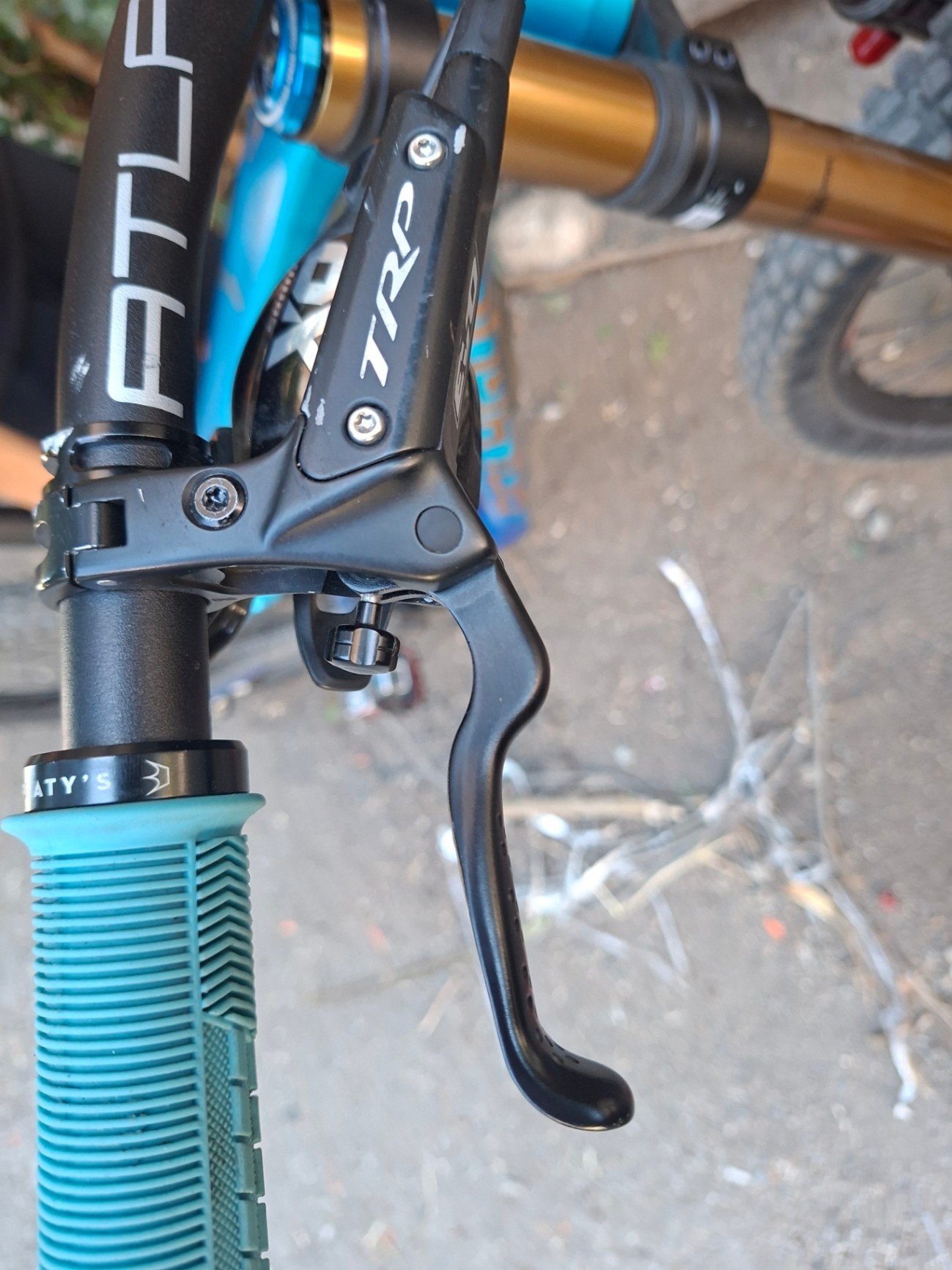 Trp Dh-r evos