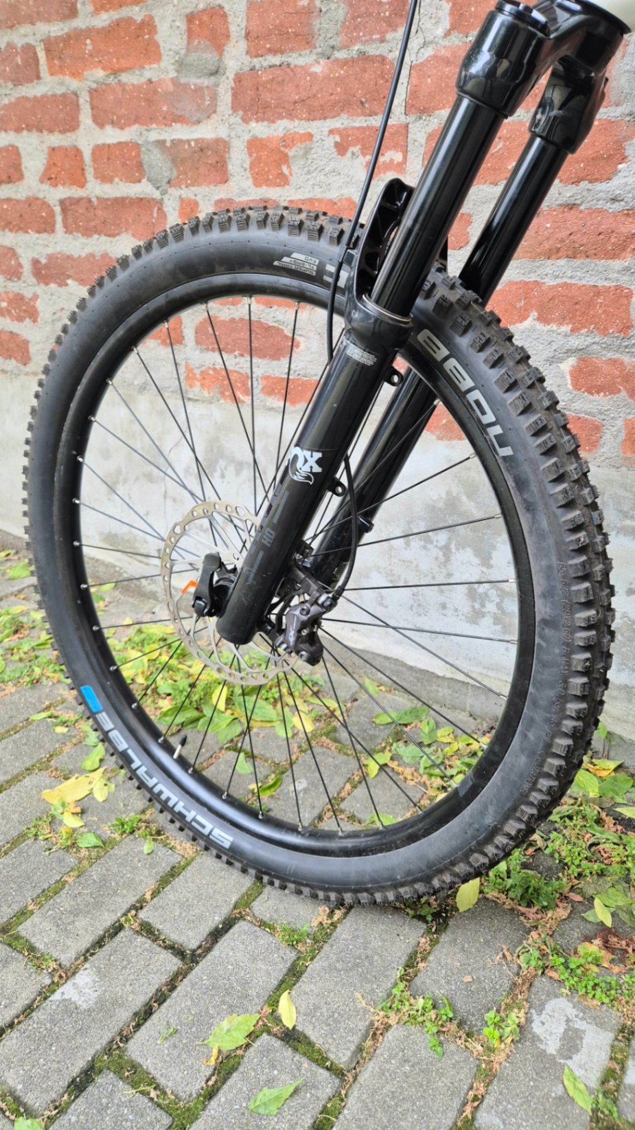 Bike view 12