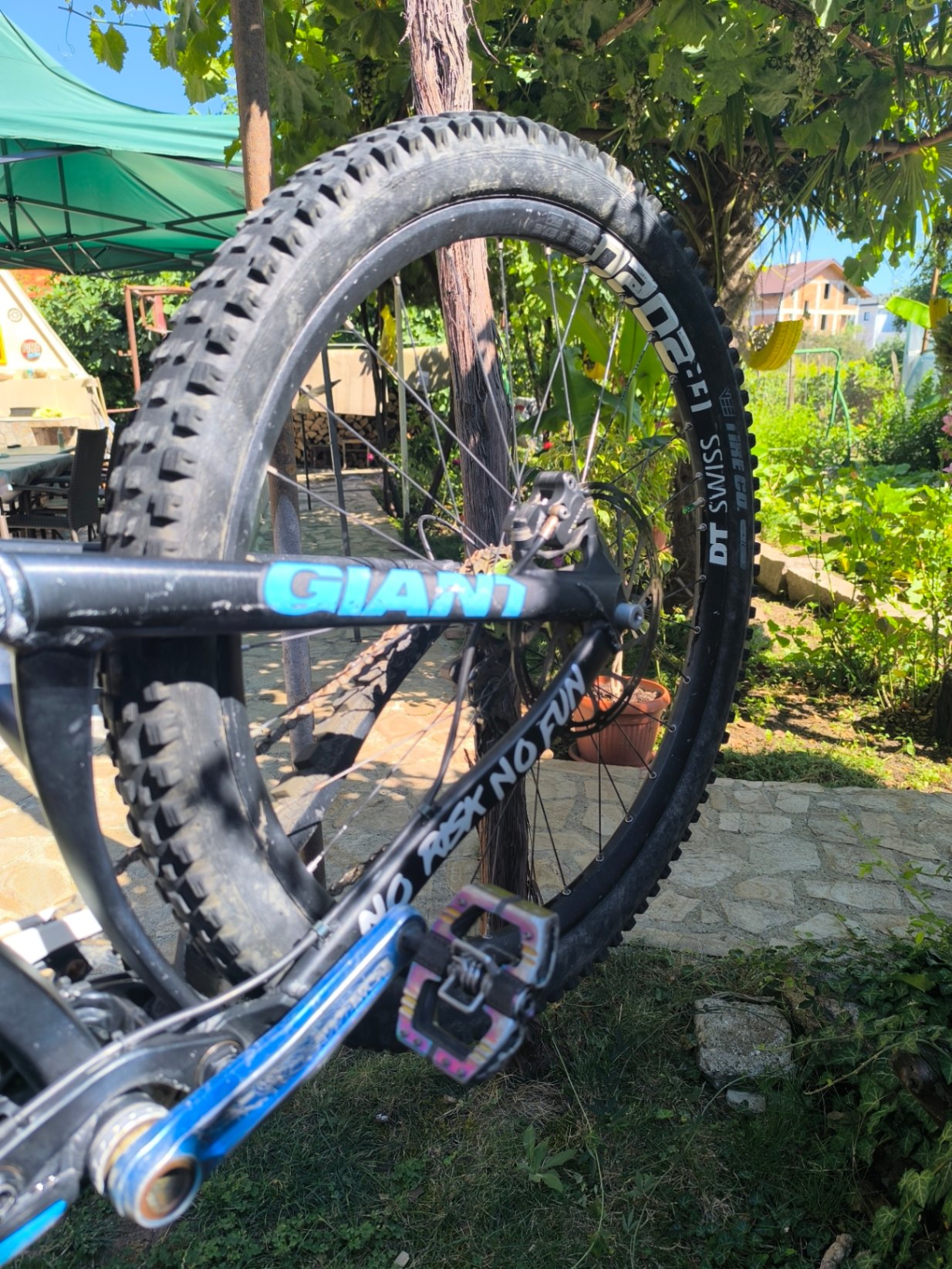 Bike view 9