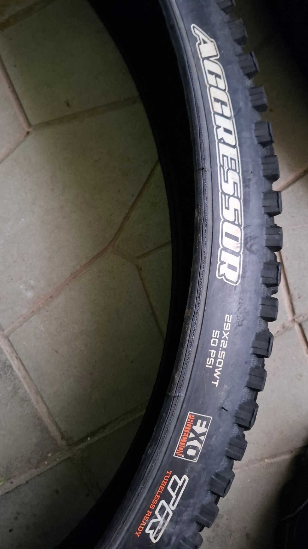 Maxxis Agresion view 2