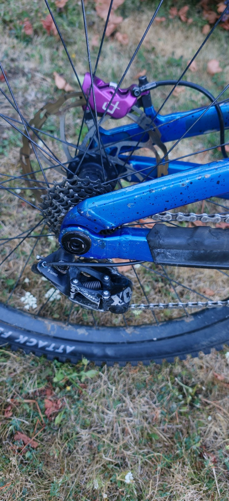 Bike view 5