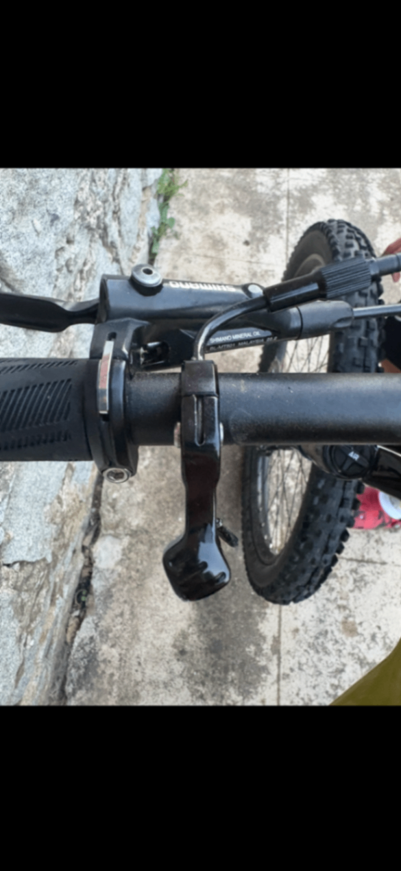 Bike view 7