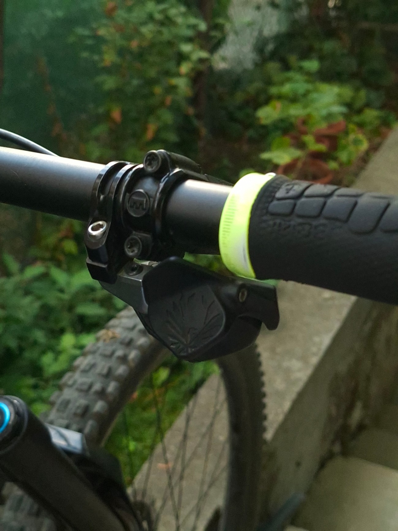 Bike view 6