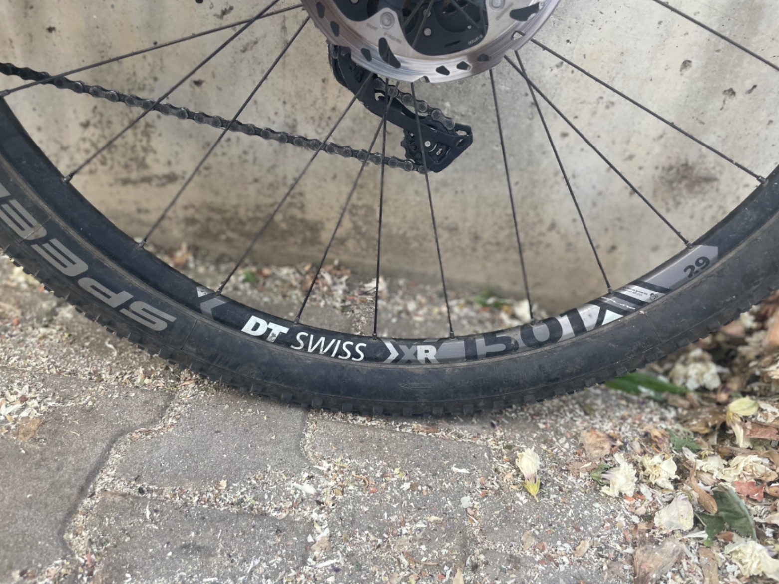 Bike view 10