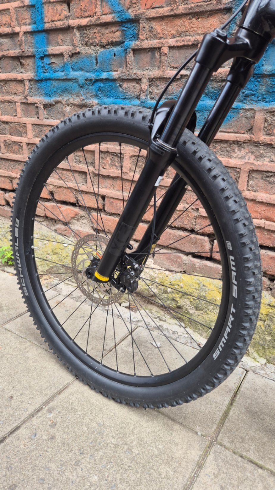 Bike view 5