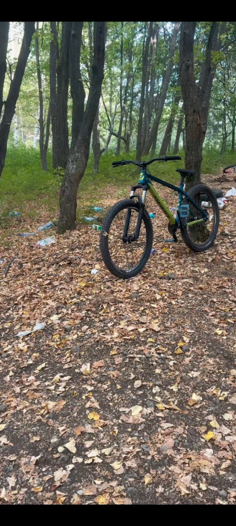 Bike view 6