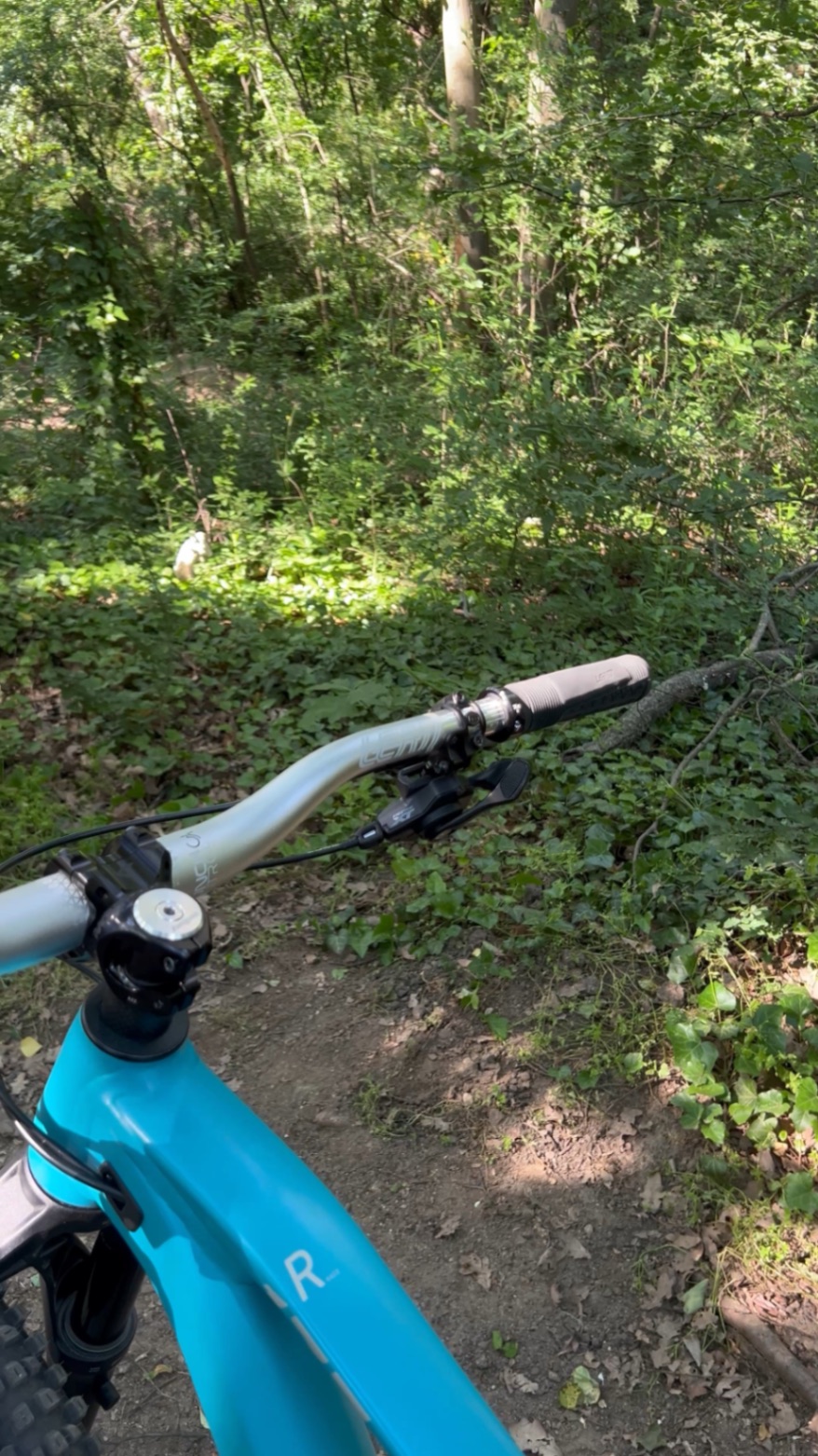 Bike view 5
