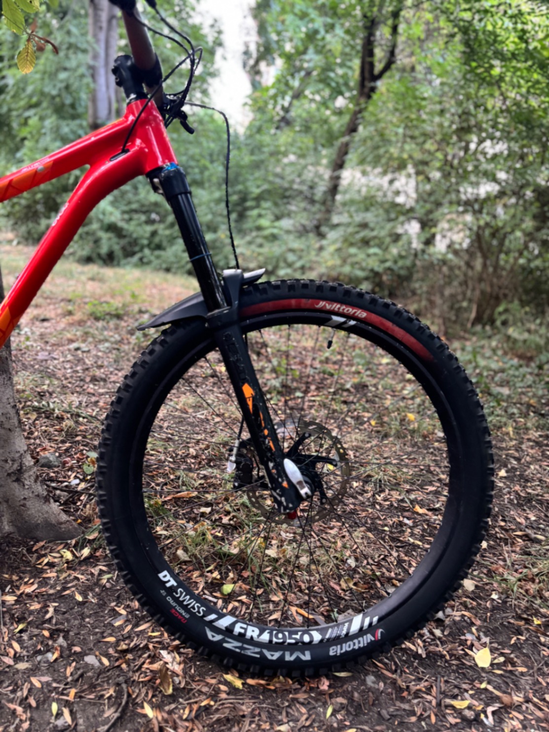 Bike view 11
