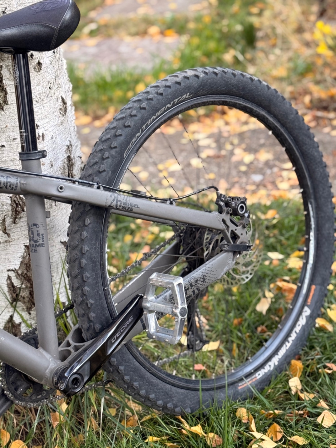 Bike view 9