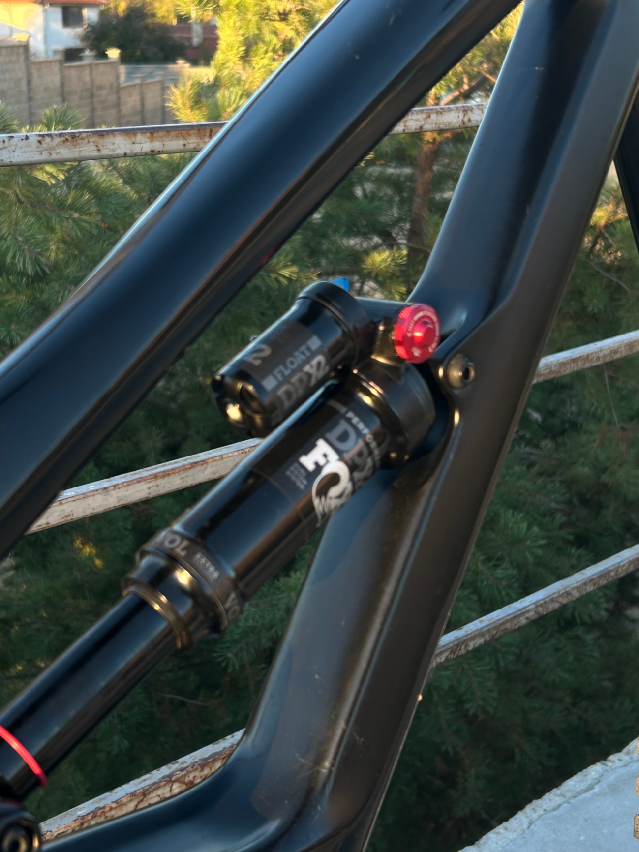 Bike view 5