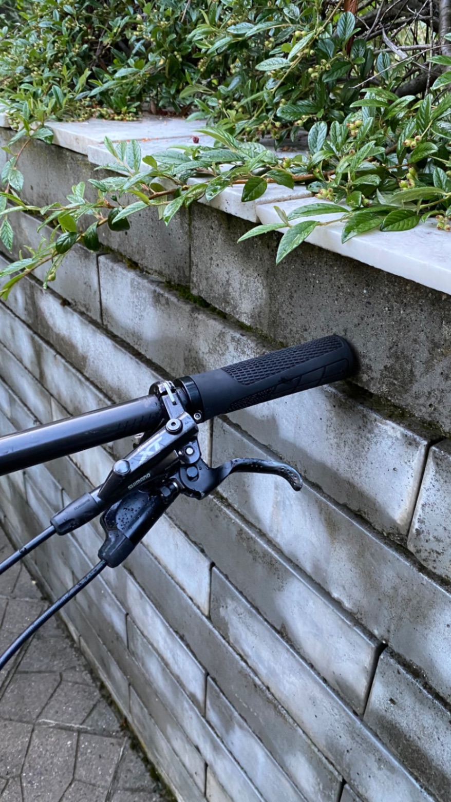Bike view 6