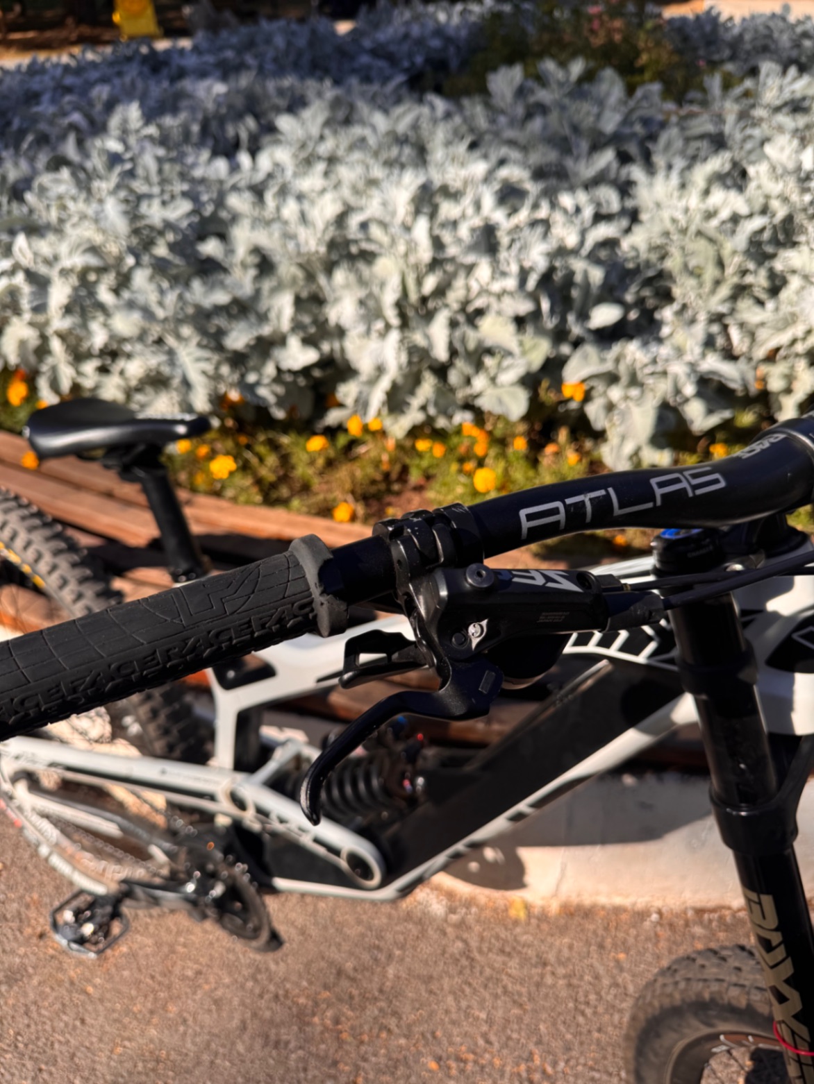 Bike view 6