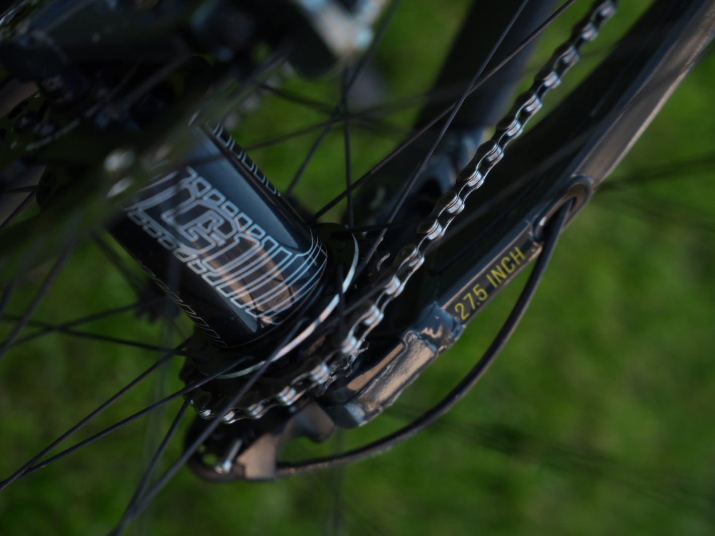 Bike view 9