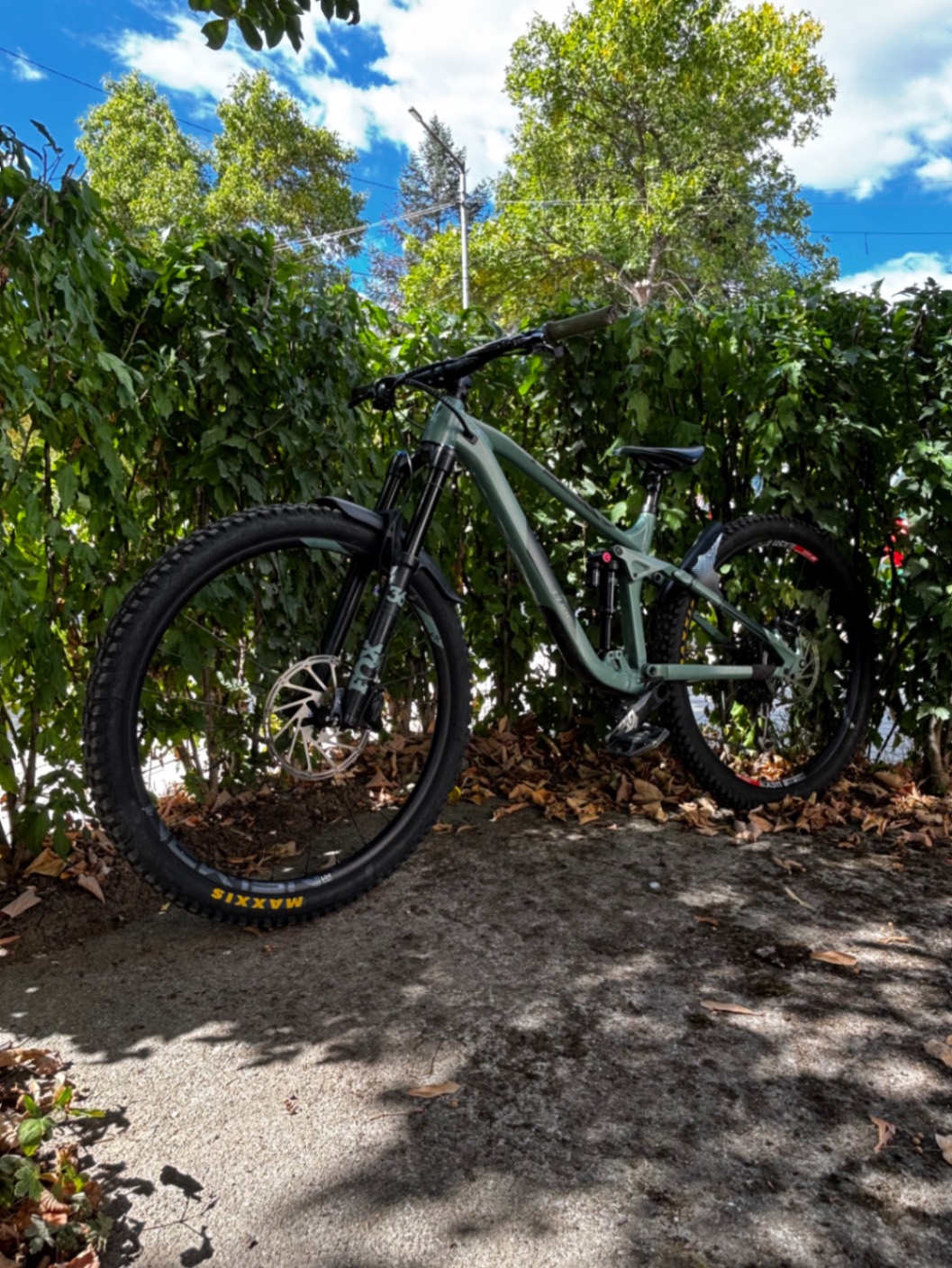 Bike view 10