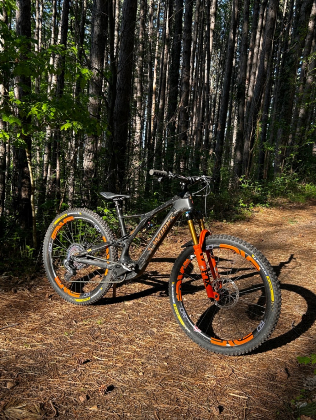 Bike view 2