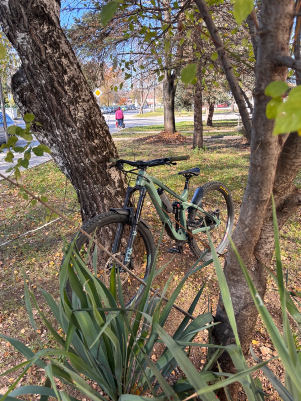 Bike view 2
