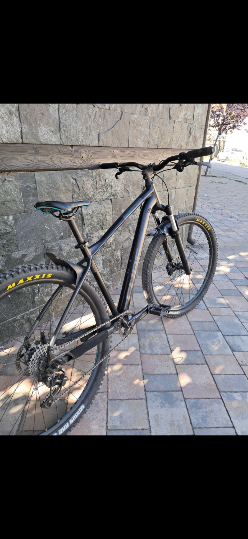 Bike view 7
