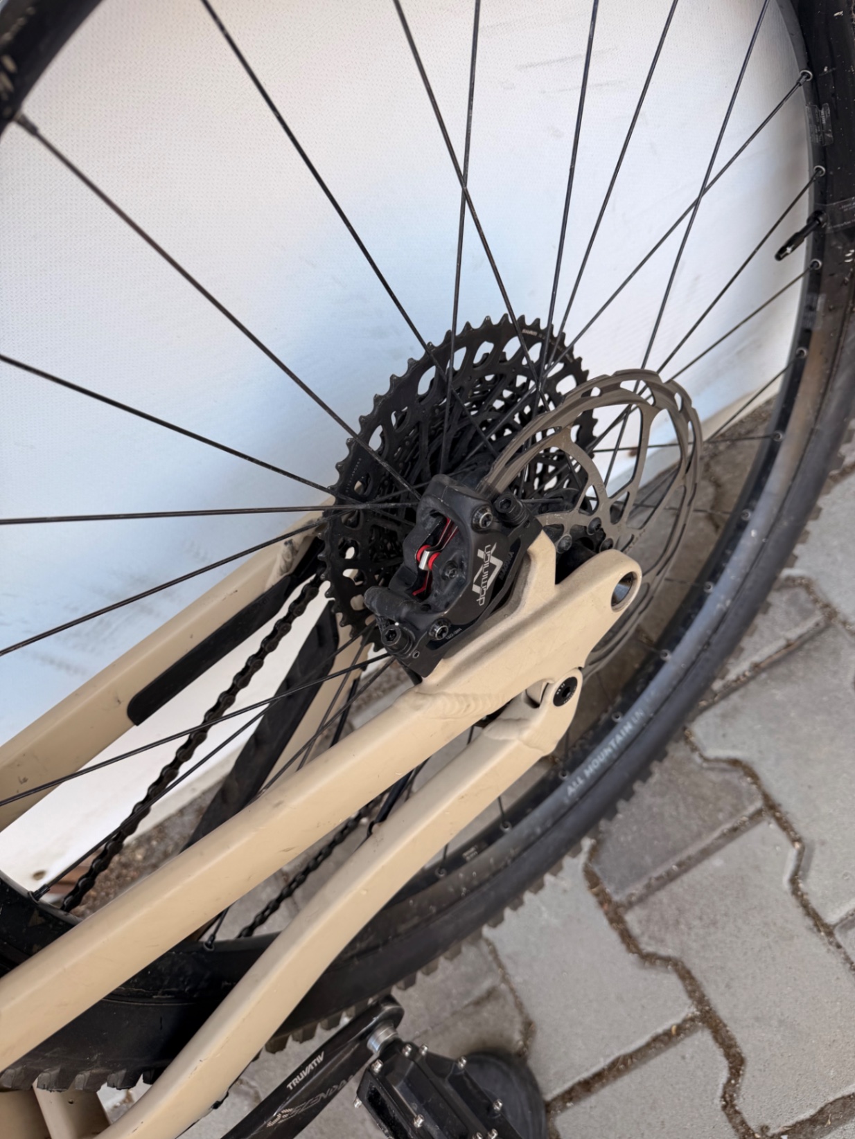 Bike view 8