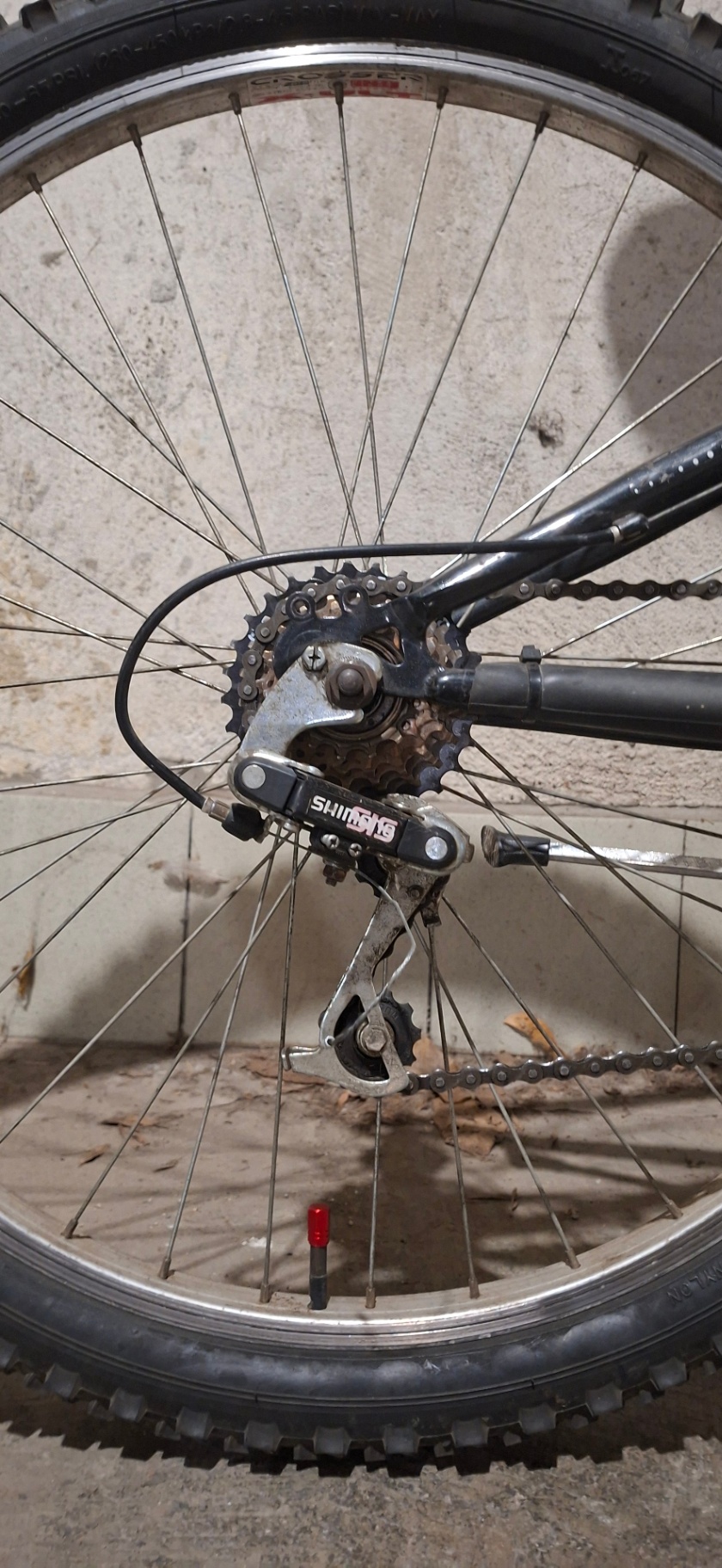 Bike view 7