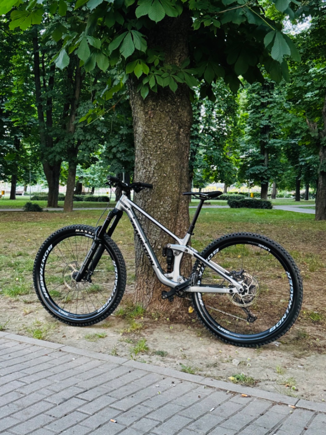Bike view 5