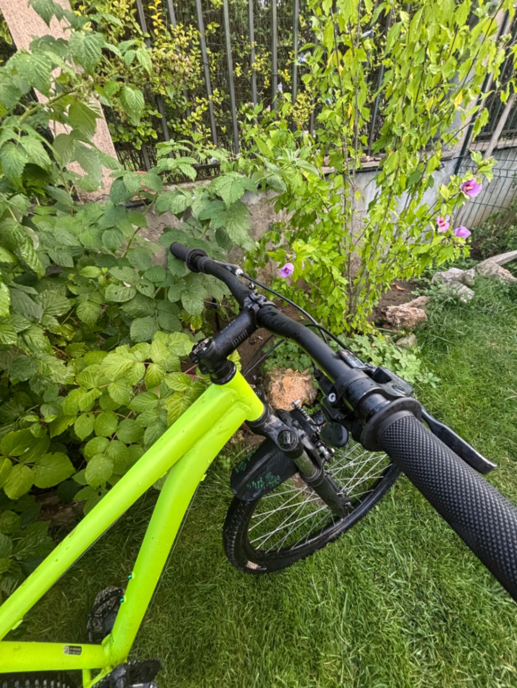 Bike view 5