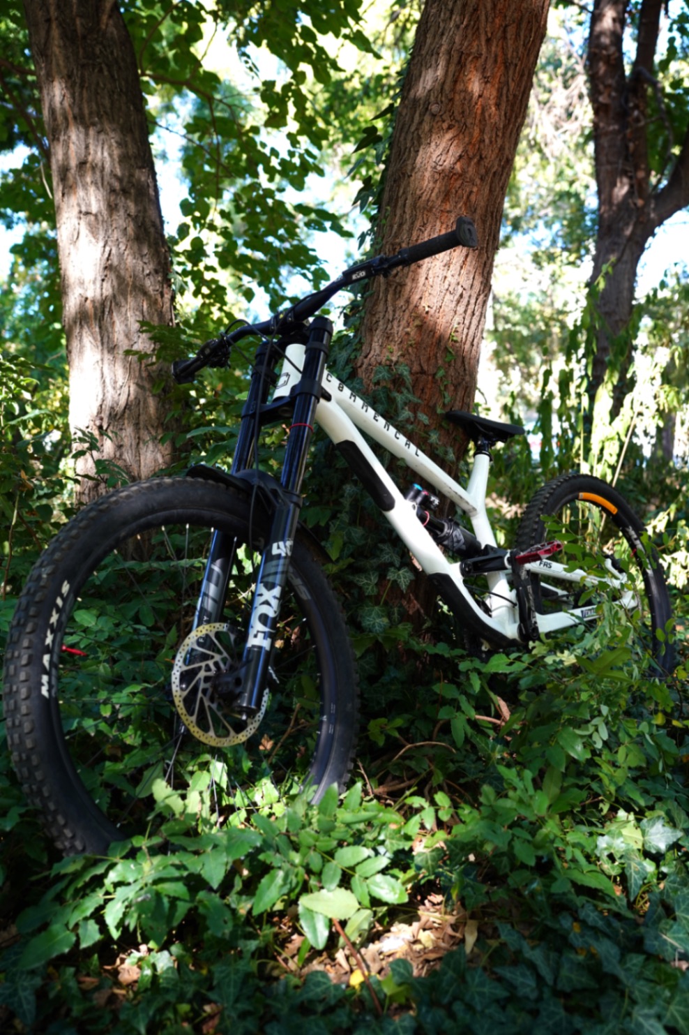 Bike view 2
