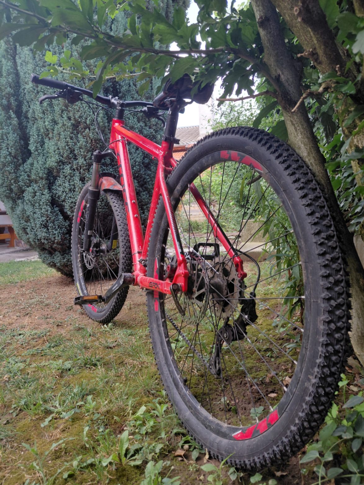 Bike view 2