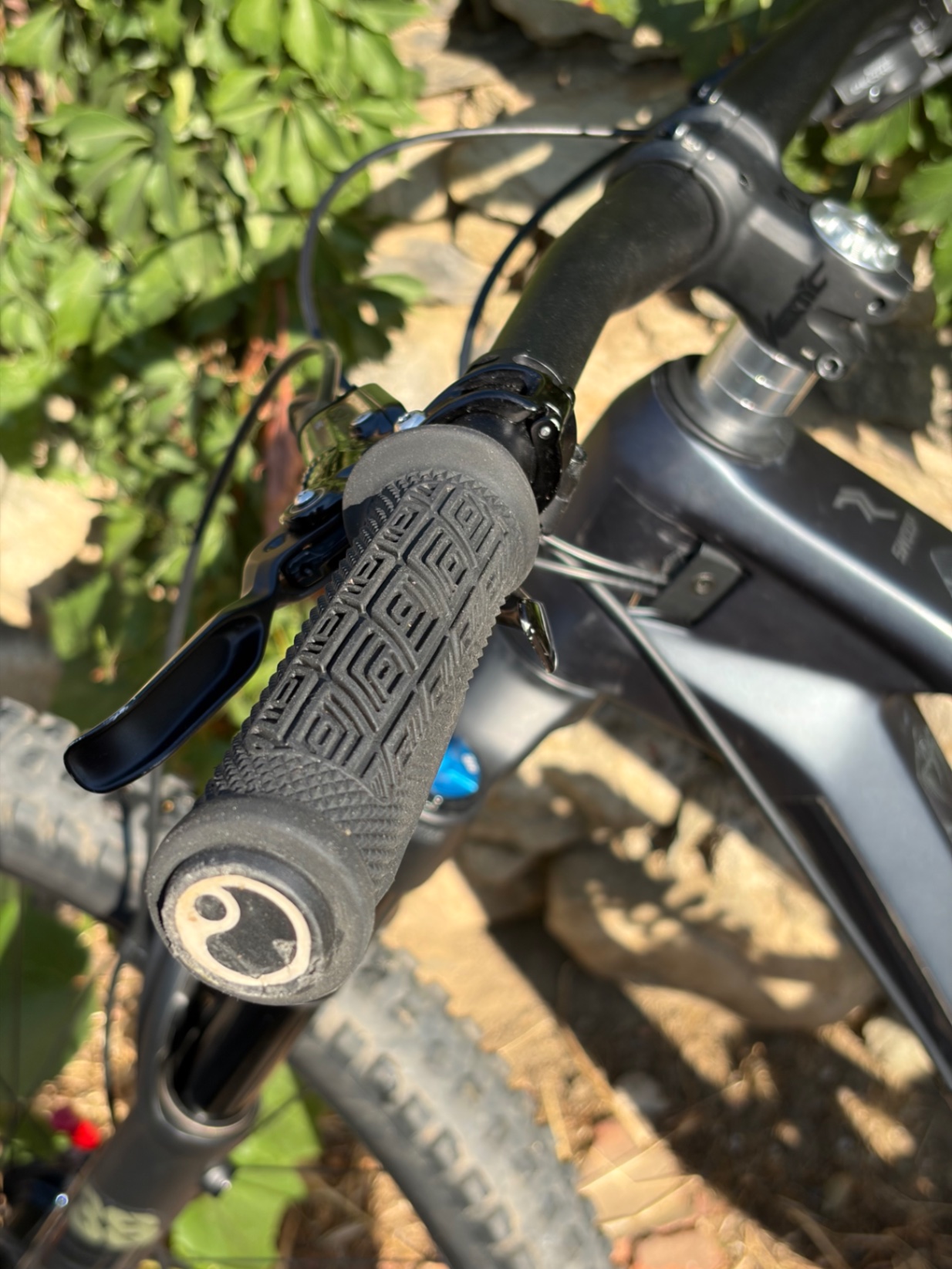 Bike view 6