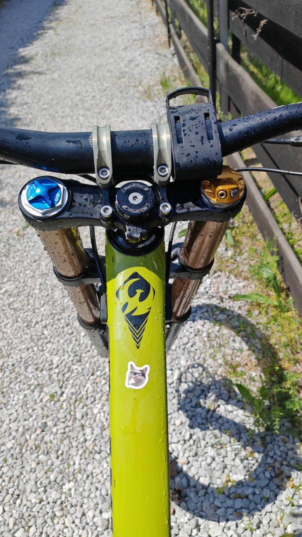 Bike view 12