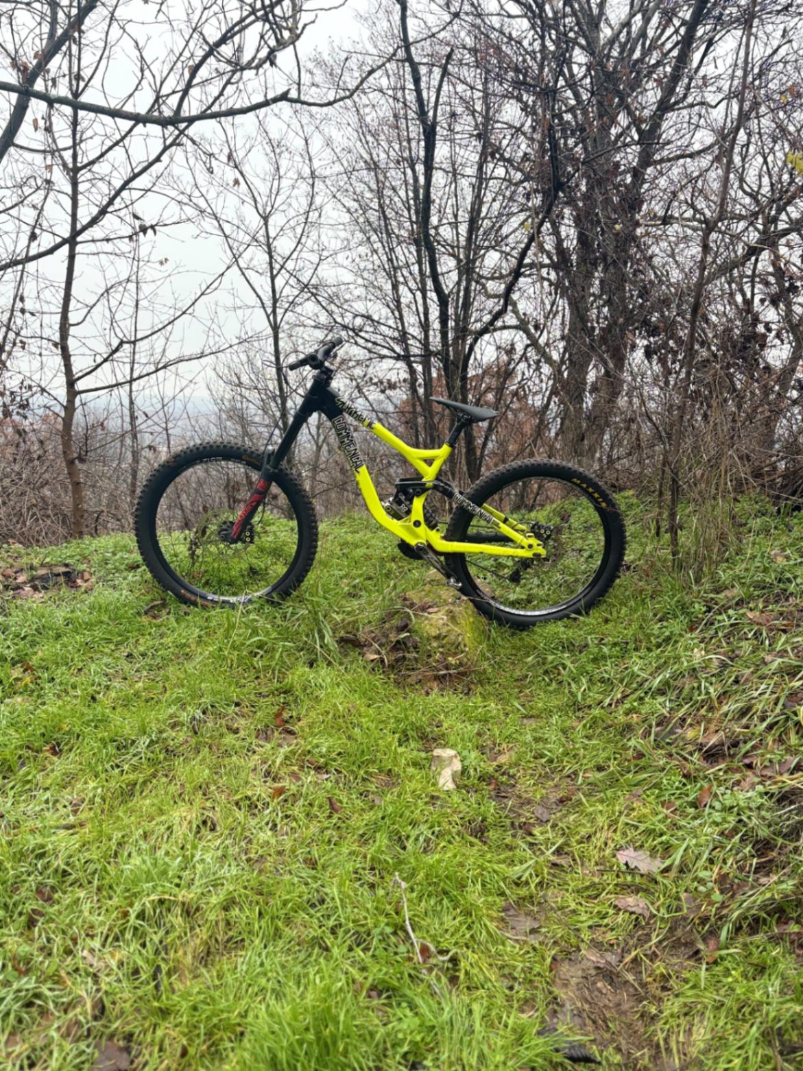 Commencal Supreme DH Team