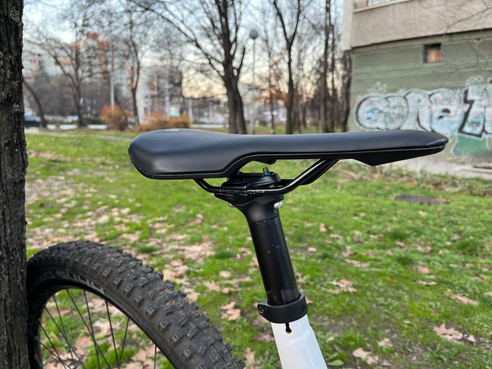 Bike view 10