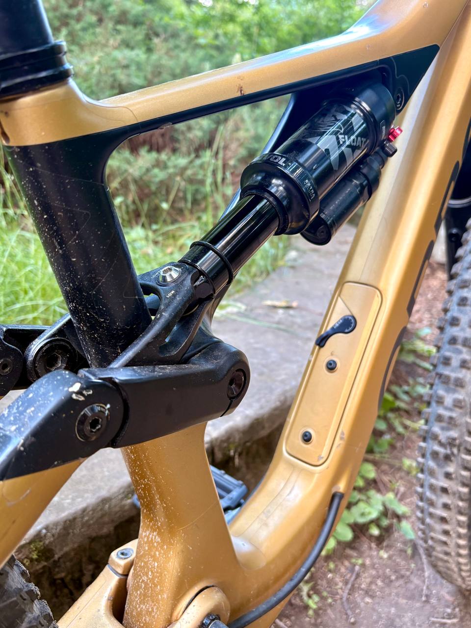 Bike view 8