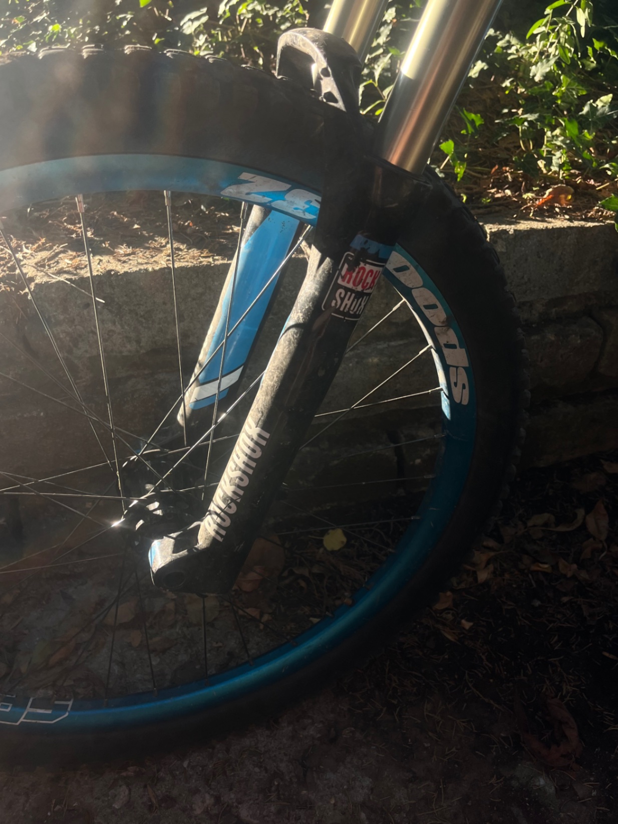 Bike view 4