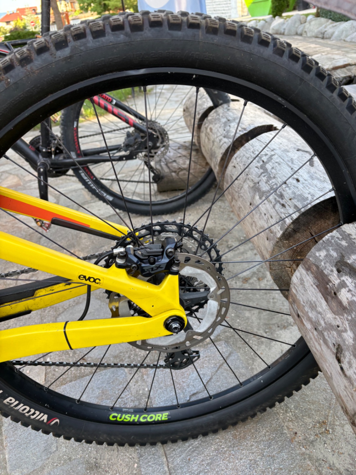 Bike view 5