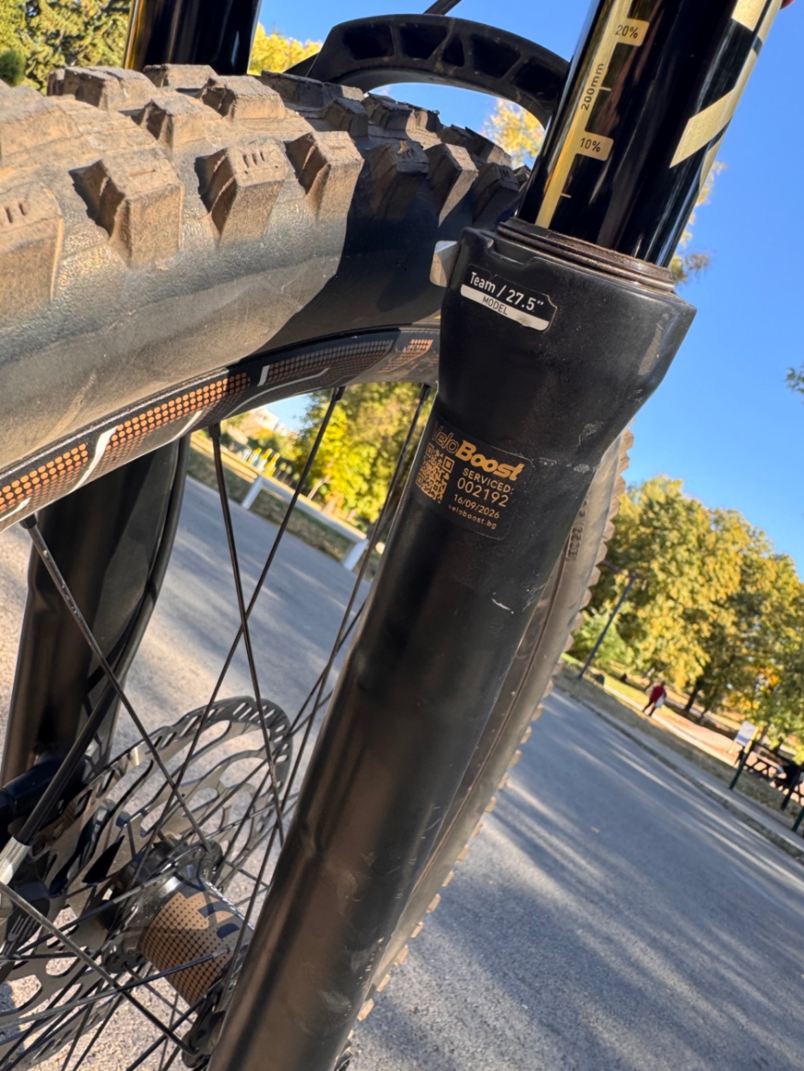 Bike view 11