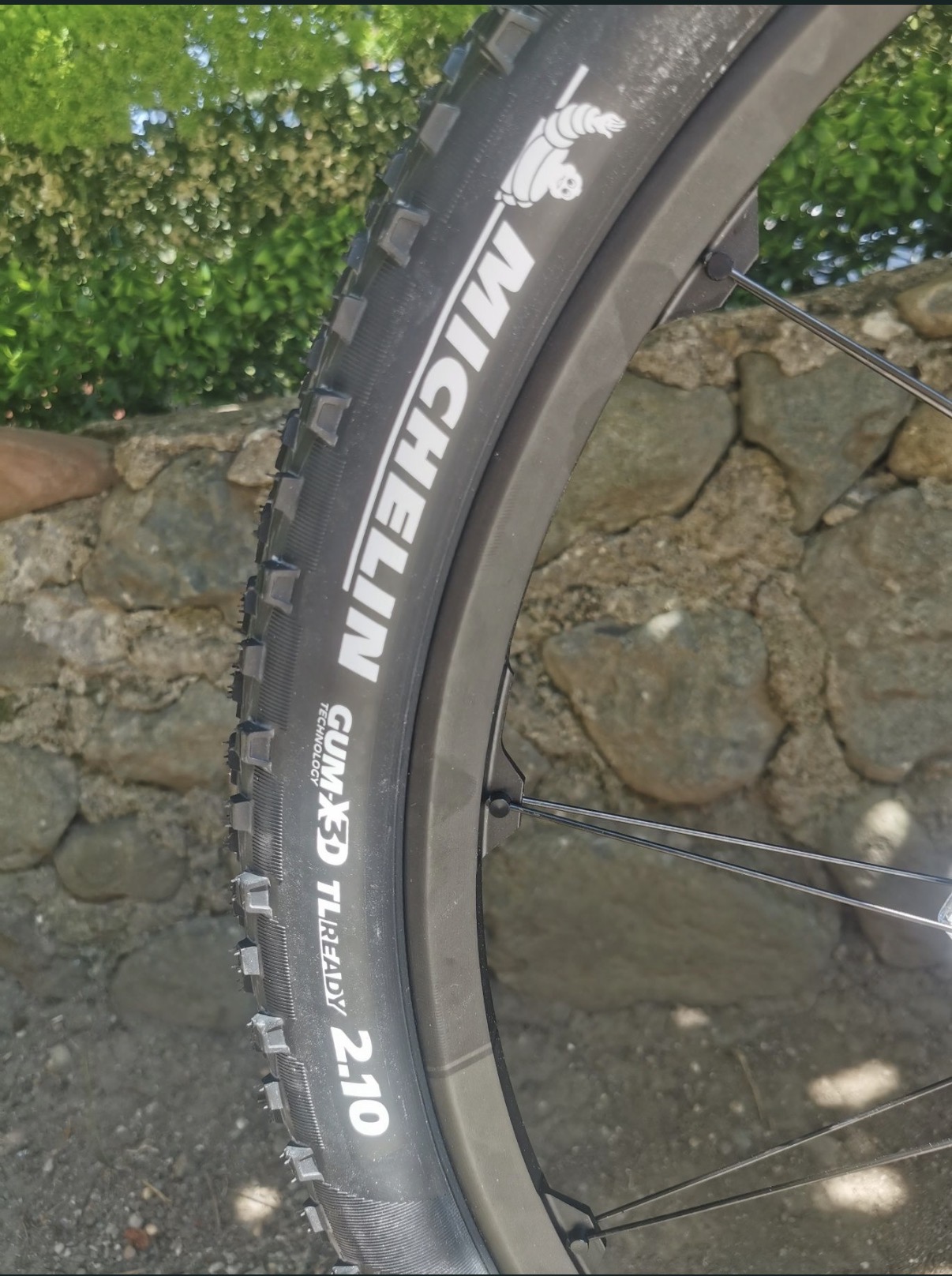 Bike view 7