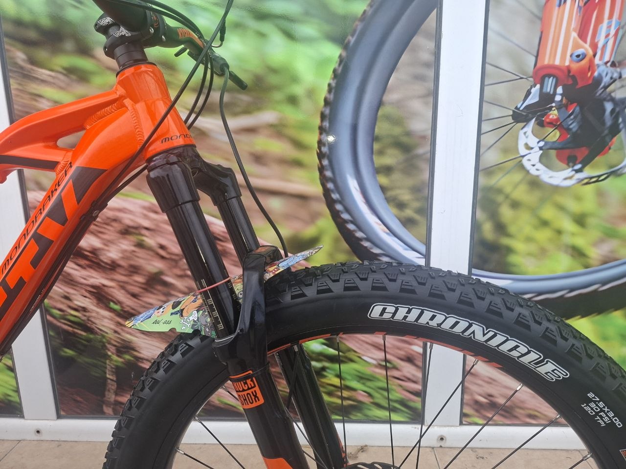 Bike view 11