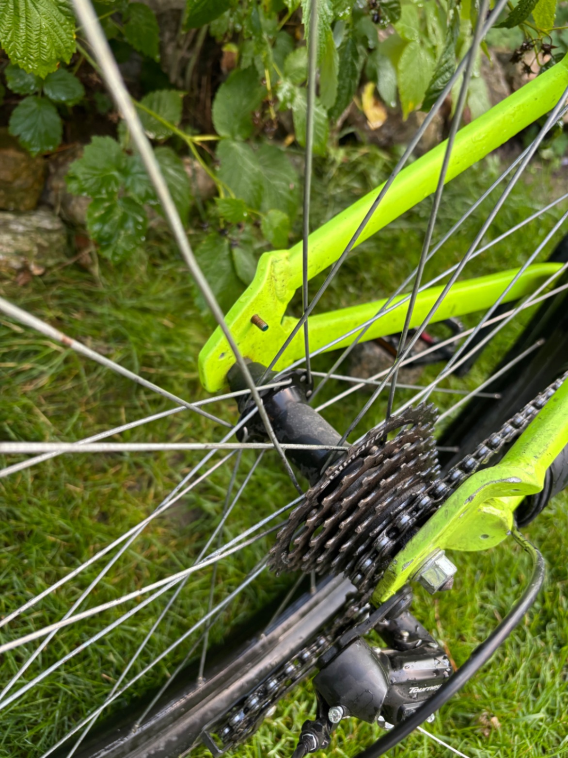 Bike view 4