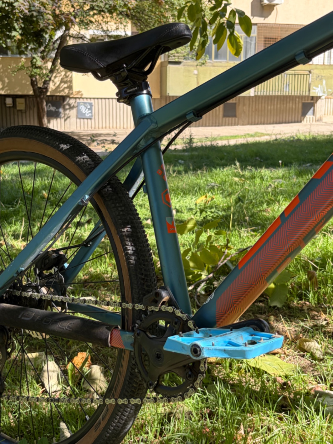 Bike view 5