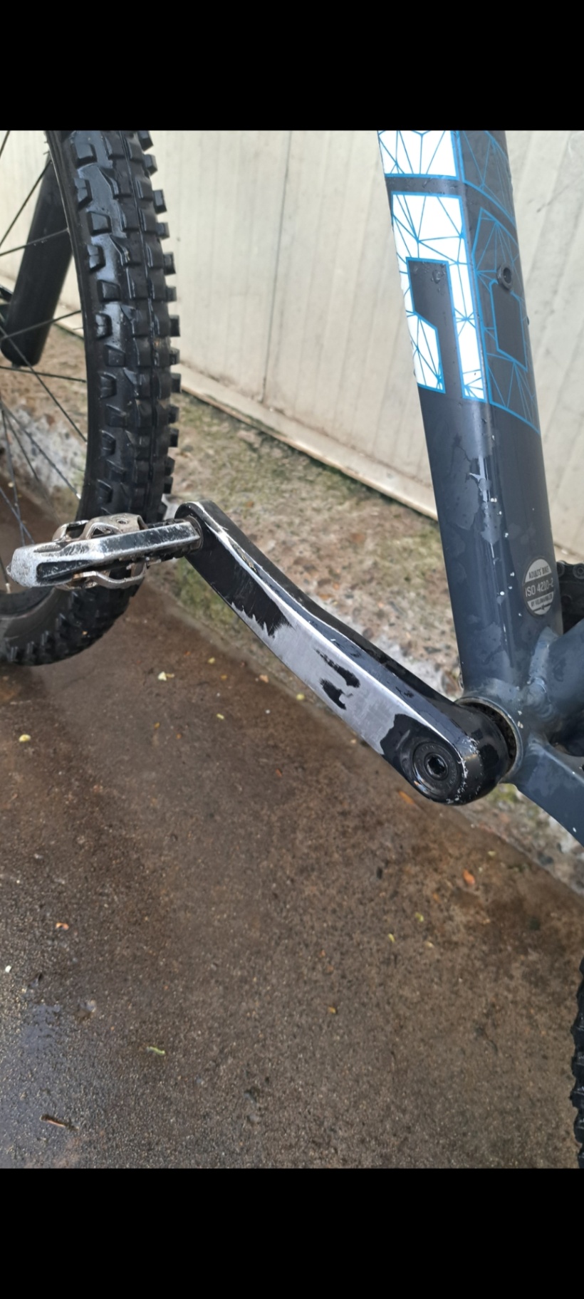 Bike view 11