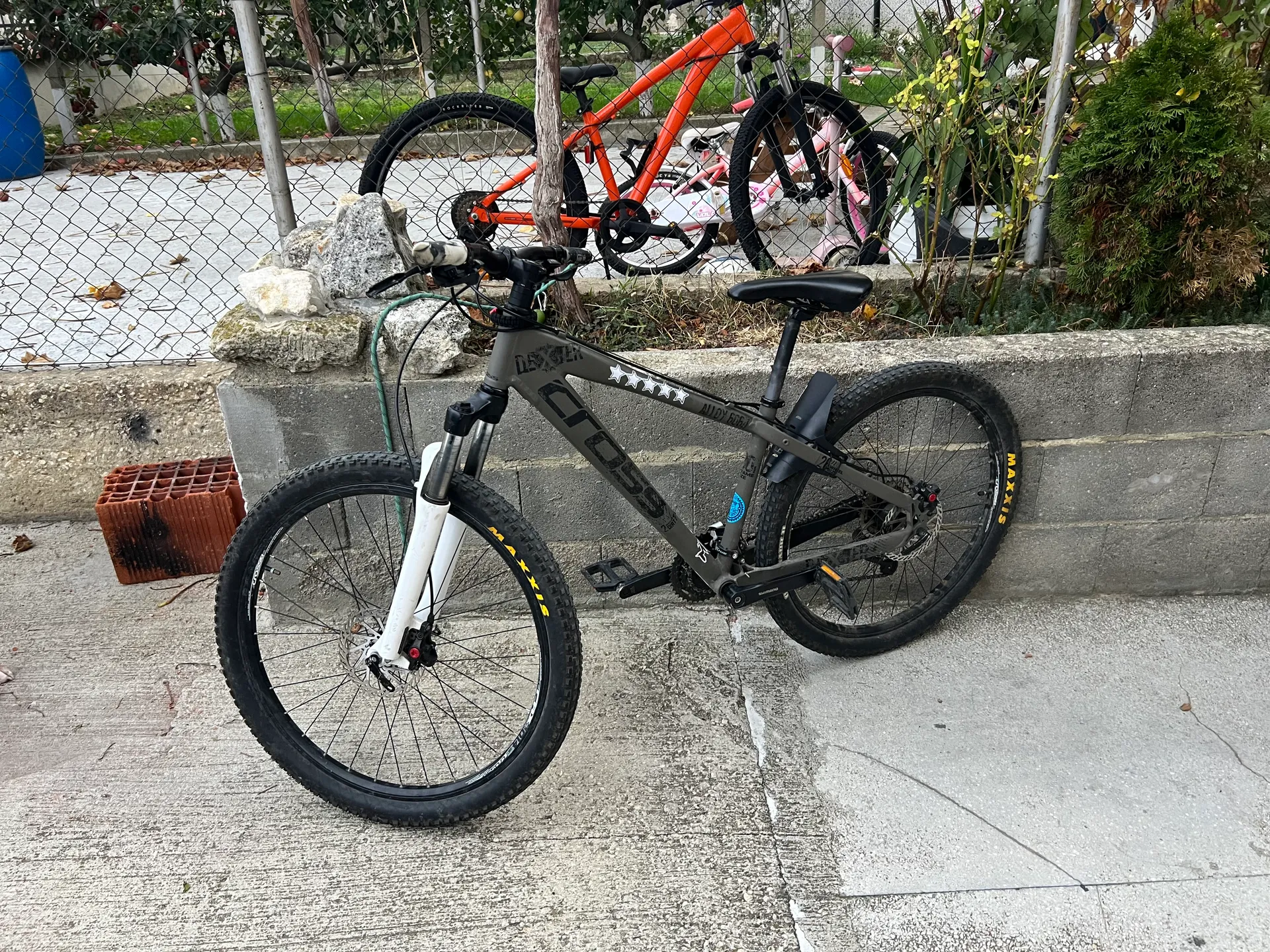Cross Dexter | Nameri.Bike