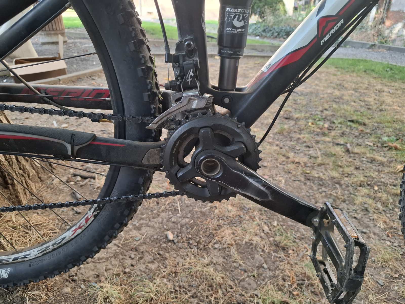 Bike view 11