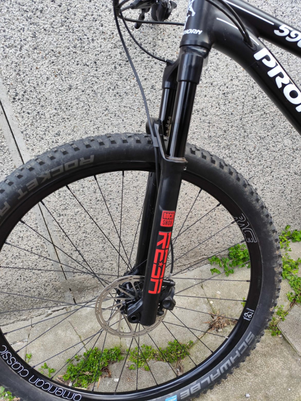 Bike view 11