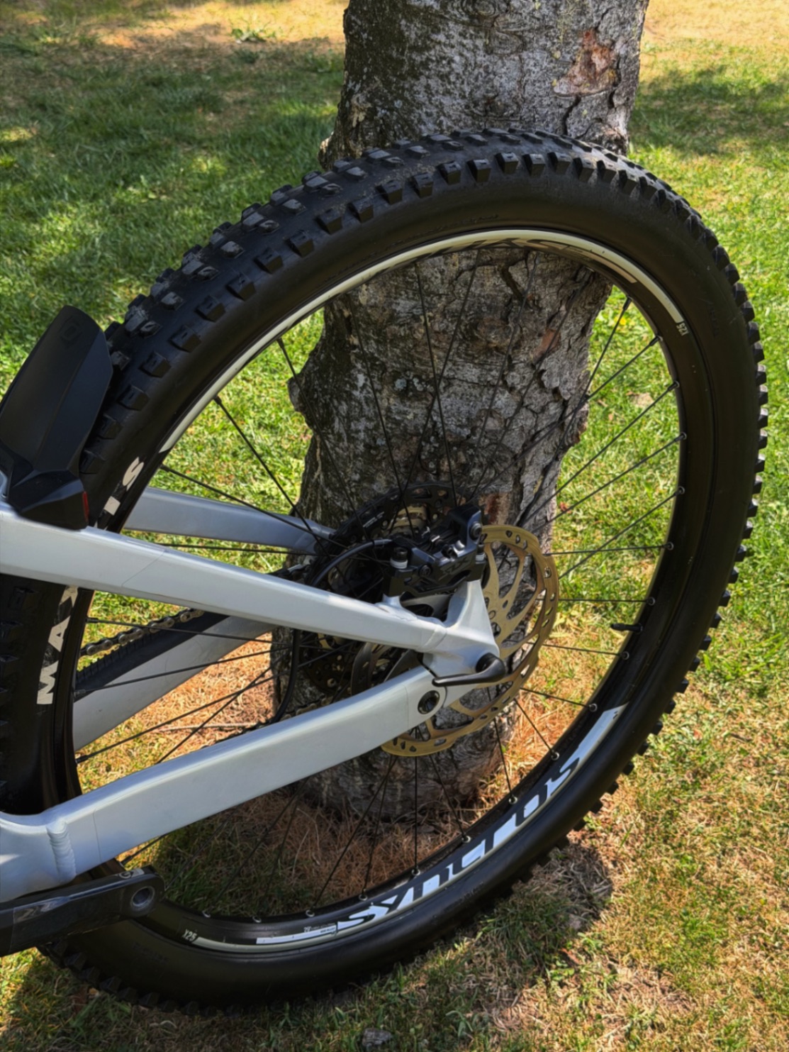 Bike view 5