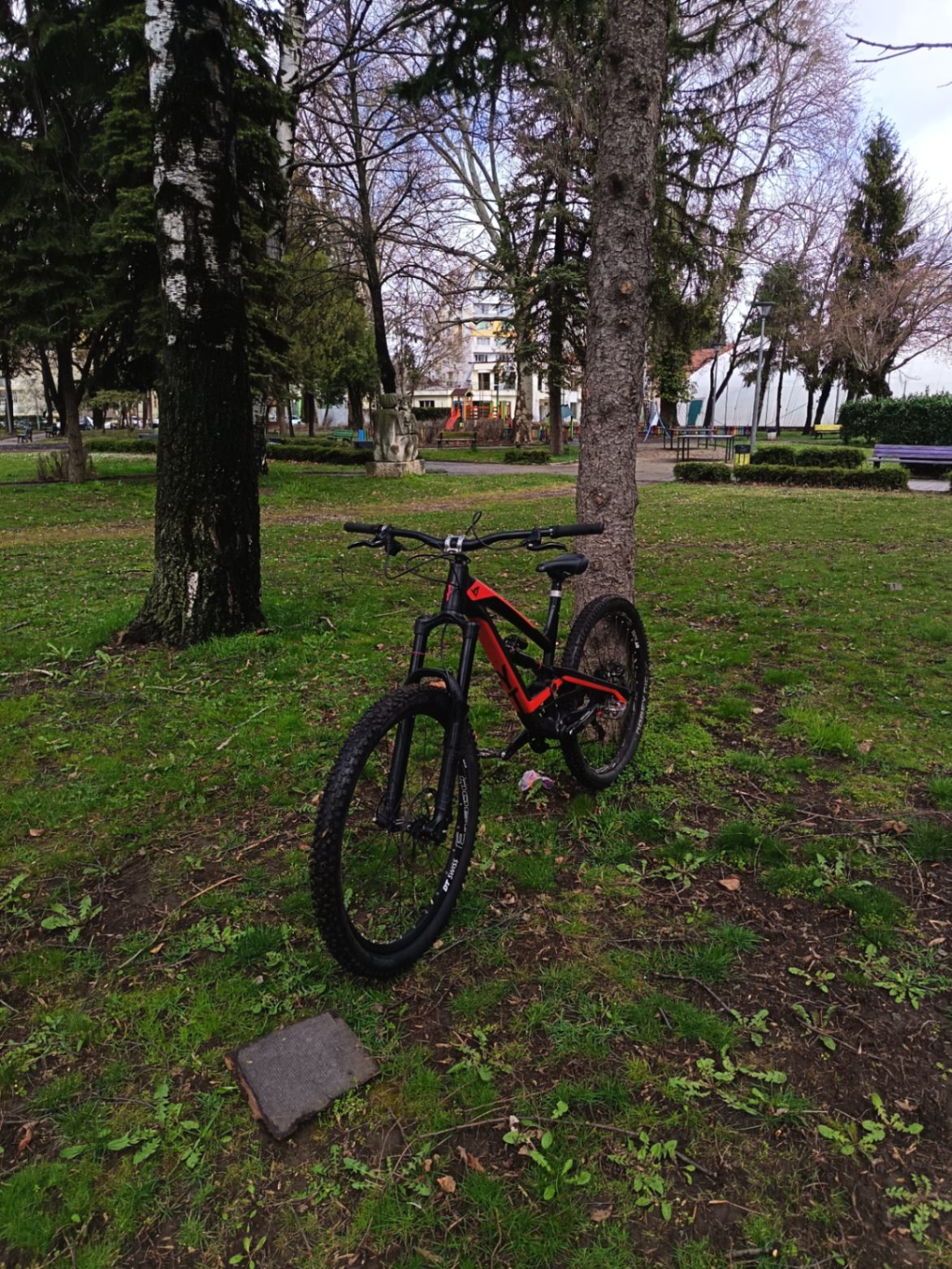 Bike view 6