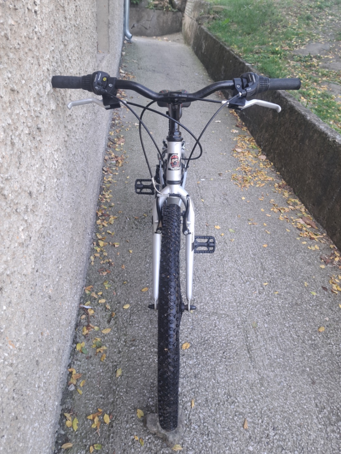 Bike view 8